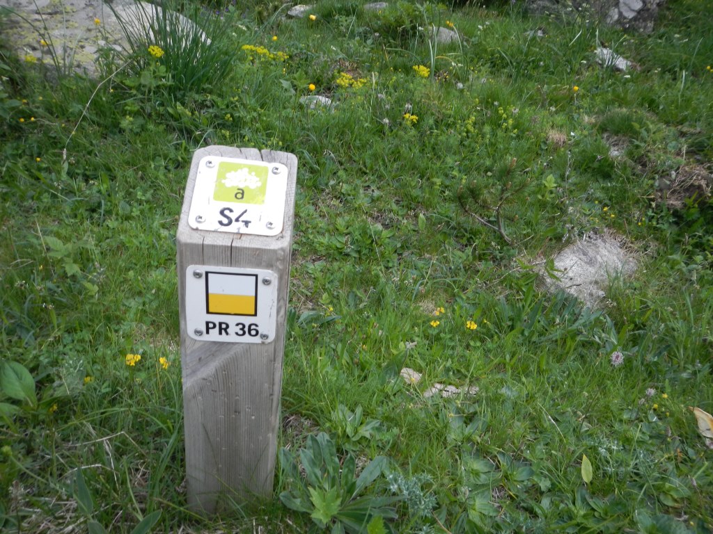 DSCN6006