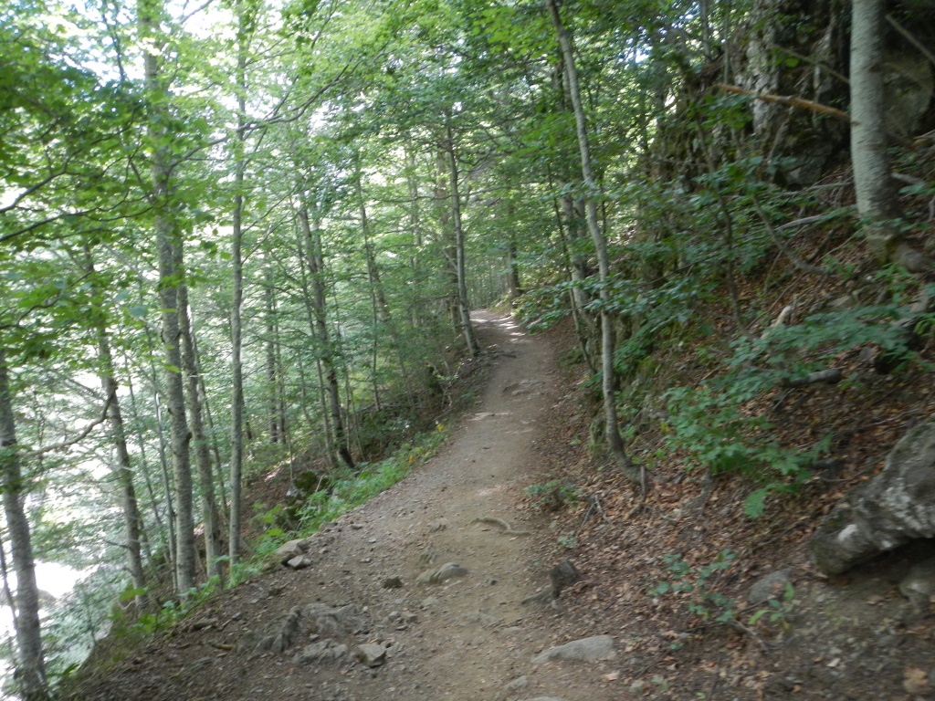 DSCN8579
